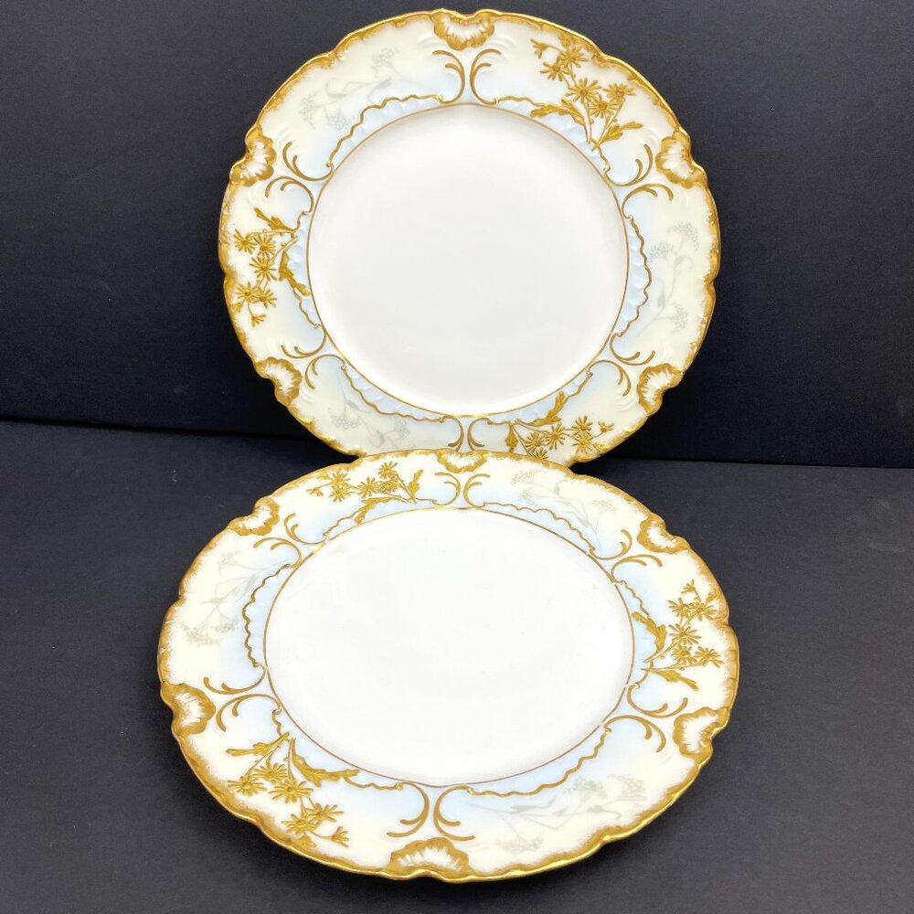 VintageSet of 2 S.M.Limoges Elite France Plates – Belle Époque Art Nouveau, 8.5″